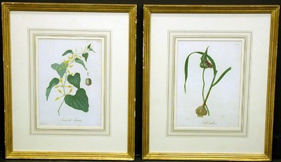 Lot 1070 - Artist Unknown [FLOWER STUDIES] Three...