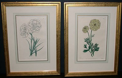 Lot 1062 - After E. D. Smith [FLOWER STUDIES] Two...