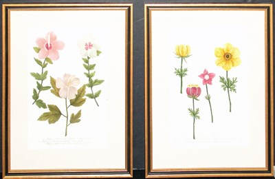 Lot 2077 - After Johann Weinmann [FLORAL STUDIES] Two...