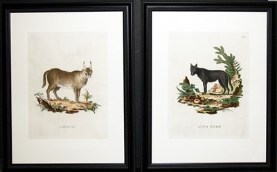 Lot 2073 - Innocente Alessandri CARACAL and LUPO NERO Two...