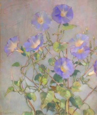 Lot 1249 - Laura Coombs Hills 1859-1952 MORNING GLORY...