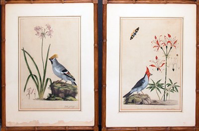 Lot 2058 - J. F. Miller [BIRDS AND FLOWERS] Two...
