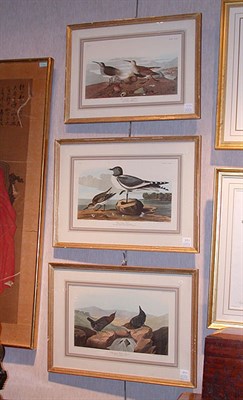 Lot 102 - After John James Audubon AMERICAN WATER OUZEL;...