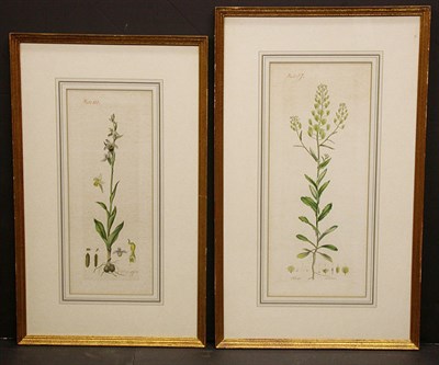 Lot 2054 - Artist Unknown [FLOWER STUDIES] Four...