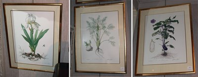 Lot 1080 - Graham Rust [PLANT STUDIES] Three color...