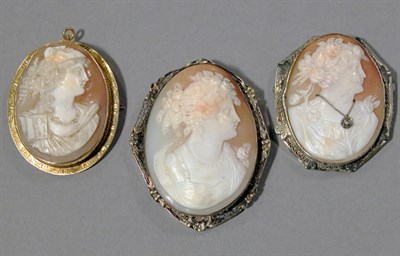 Lot 71 - Three Shell Cameo Pins