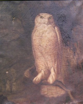 Lot 3023 - J. Henry Smith American, 19th century OWL...