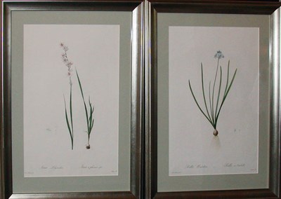 Lot 2101 - After P. J. Redoute IXIA POLYSTACHIA and...