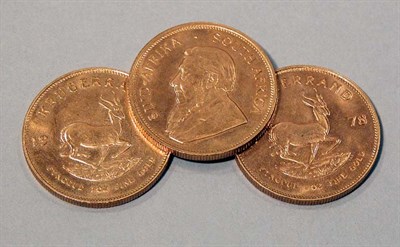 Lot 157 - Three South African Krugerrands