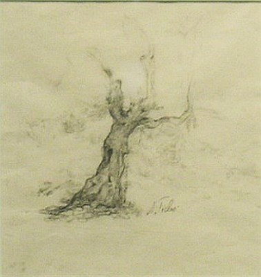 Lot 16 - Anna Ticho Israeli, 1894-1980 OLD TREE Signed...