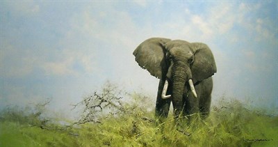 Lot 200 - David Shepherd British, b.1931 LONE ELEPHANT...