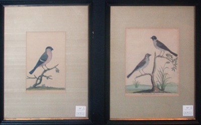 Lot 1068 - After Albin [BIRD STUDIES] Two hand-colored...