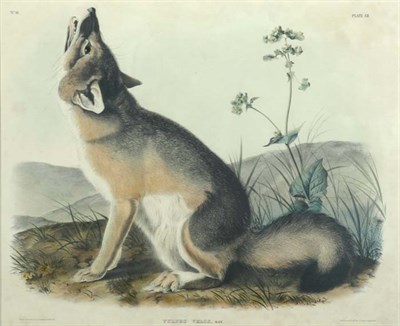 Lot 3131 - After John James Audubon SWIFT FOX...
