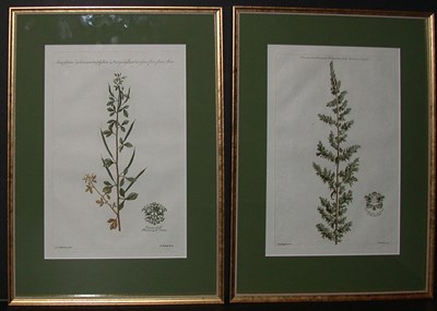 Lot 128 - After Jan Van Huysum [PLANT STUDIES] Two...