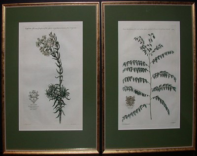 Lot 103 - After Jan Van Huysum [PLANT STUDIES] Two...