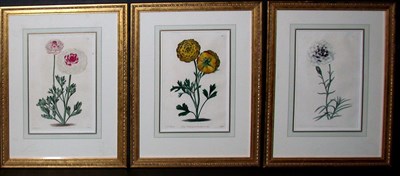 Lot 109 - After E. D. Smith [FLOWER STUDIES] Three...
