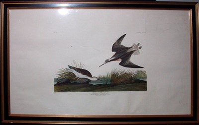 Lot 88 - After John James Audubon WILSON'S PHALAROPE...