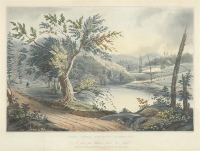 Lot 2141 - After William Guy Wall VIEW NEAR JESSUP'S...
