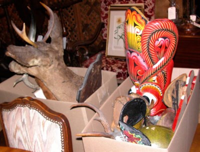 Lot 178 - Miscellaneous Group of Animal Trophies;...