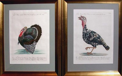 Lot 1100 - Saverio Manetti, Lorenzo Lorenzi and Violante...
