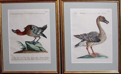 Lot 1077 - Saverio Manetti, Lorenzo Lorenzi and Violante...