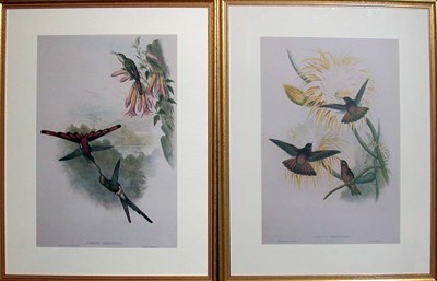 Lot 1102 - John Gould [HUMMINGBIRDS] Three color...
