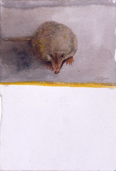 Lot 79 - Leonard Baskin American, 1922-2000 HOSIE'S ZOO:...