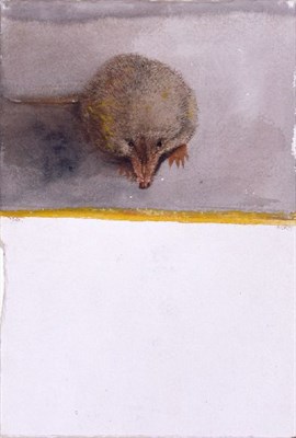 Lot 79 - Leonard Baskin American, 1922-2000 HOSIE'S ZOO:...