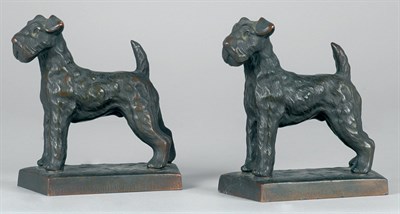 Airedale Terriers: Two
