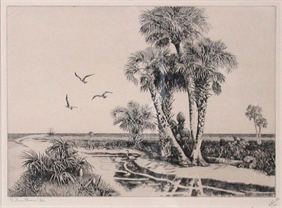 Lot 2227 - Walter R. Locke PALMETTOES, FLA.; OLD...
