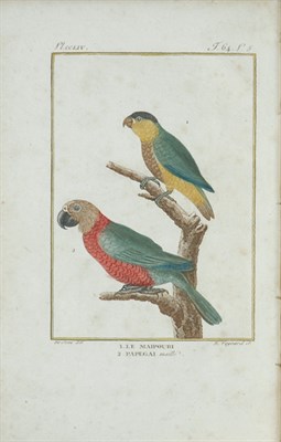 Lot 2038 - BUFFON, GEORGES, COMTE DE Histoire naturelle...