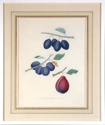 Lot 128 - George Brookshaw [FRUIT STUDIES] Eight...