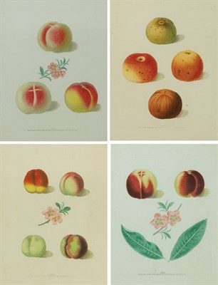 Lot 129 - George Brookshaw [FRUIT STUDIES] Eight...