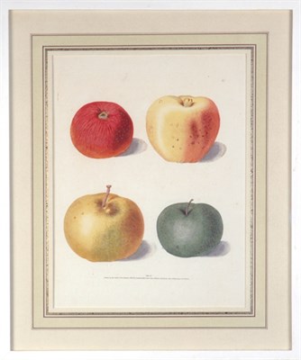 Lot 127 - George Brookshaw [FRUIT STUDIES] Five...