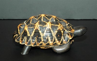 Lot 256 - Turtle-Form Shell Box