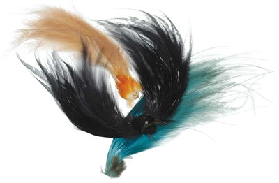 Lot 172 - Group of Bird of Paradise Feathers Comprising...