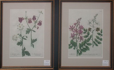 Lot 139 - After Johann Weinmann [FLORAL STUDIES] Two...