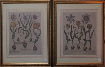 Lot 143 - Basilius Besler TULIPA LUTEA LITURIS AURCIS......