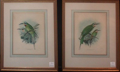 Lot 150 - J. G. Keulemans [BIRD STUDIES] Four...