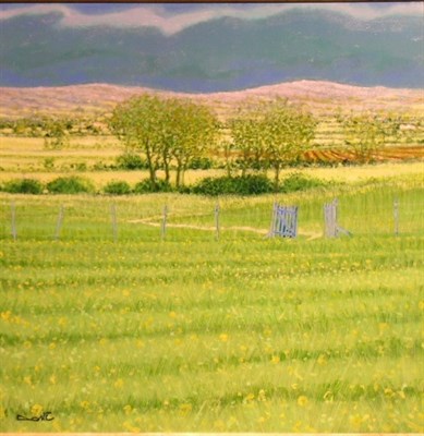 Lot 21 - Dominique Dorie French, b.1958 PRAIRIE Signed...