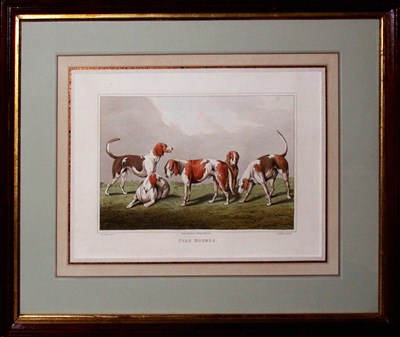 Lot 3159 - After Henry Alken STAG HOUNDS Hand-colored...