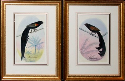 Lot 3136 - Artist Unknown JACKSONS WIDAH and...