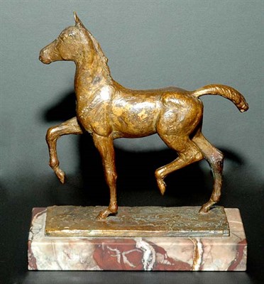 Lot 26 - Willibald Fritsch German, 1876-1948 COLT, 1930...