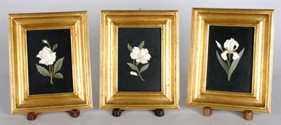 Lot 2105 - Set of Three Framed Pietra Dura Botanical...