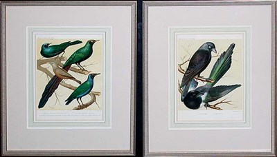 Lot 79 - Vincent, Brooks, Day & Son, lithographers...