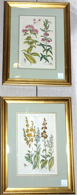 Lot 96 - Sir John Hill [FLOWER STUDIES] Two...