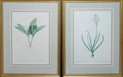Lot 3100 - After P. J. Redoute CONVALLARIA MAYALIS and...