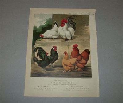 Lot 426 - [PRINTS] Approximately 175 miscellaneous...