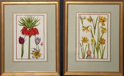 Lot 115 - After Daniel Rabel [FLOWER STUDIES] Two...