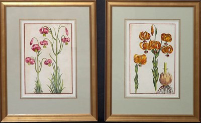 Lot 135 - After Daniel Rabel [LILIES] Two engravings,...